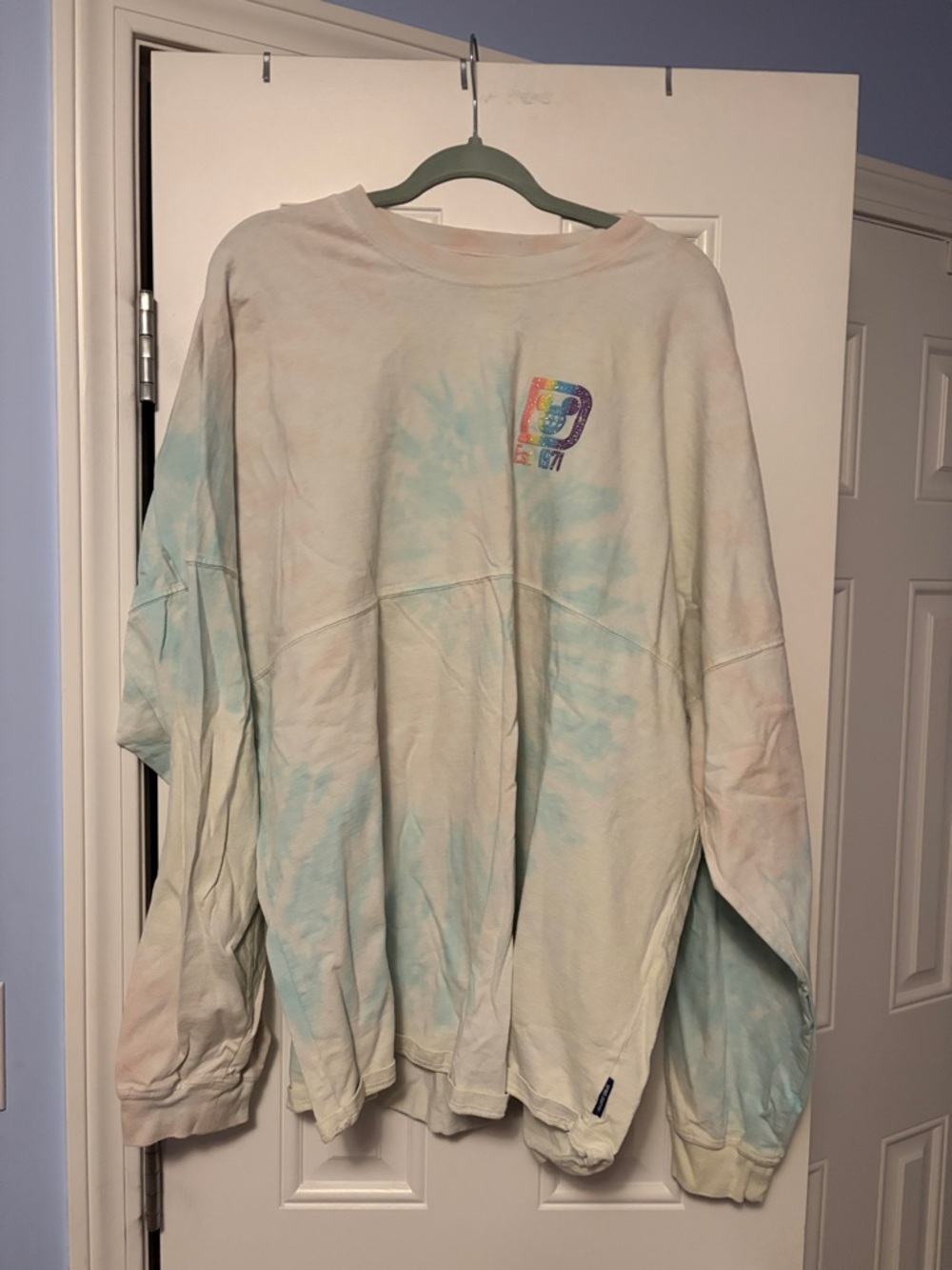 Walt Disney World Spirit Jersey